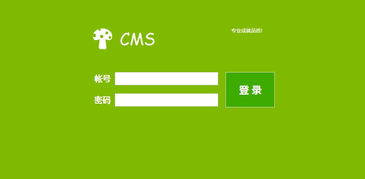 龙岩企业网站建设全攻略 从方案规划到成功上线